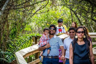 Miami: Everglades Safari Park Airboat Tour - River of Grass to Levees: Wildlife Spotting Without the Guesswork