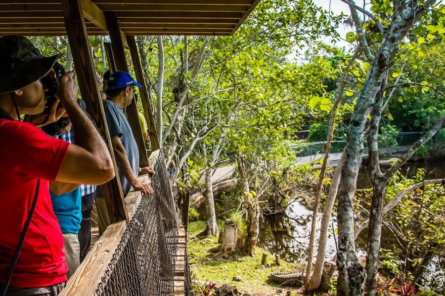 Miami: Everglades Safari Park Airboat Tour - Price and Value: The $41 Ticket Plus the $8 Park Fee