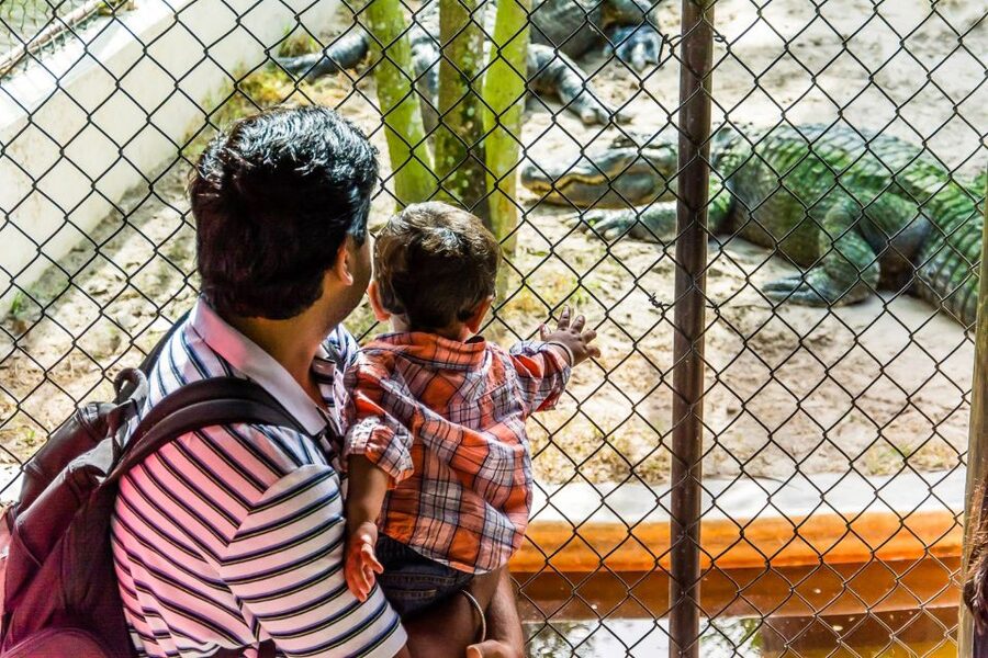 Miami: Everglades Safari Park Airboat Tour - Who Should Book This Airboat Tour (and Who Might Skip It)