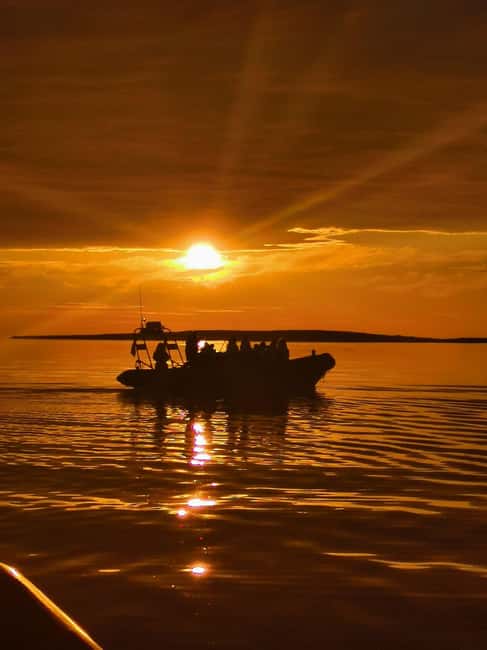 Midnight sun safari - Key Points to Know Before You Go