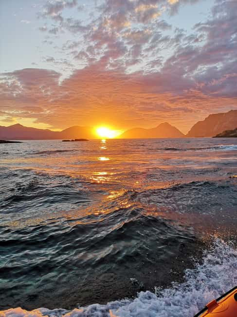 Midnight sun safari - Midnight Sun on a RIB: What This 9pm Safari Really Feels Like