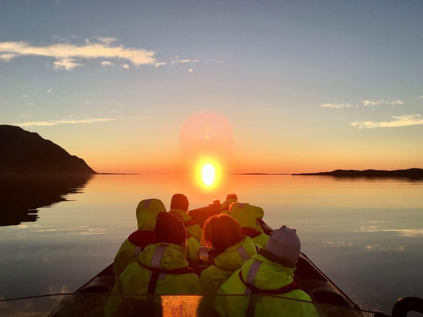 Midnight sun safari - Wildlife Odds in Nordland: Sea Eagles, Seals, Puffins, and Maybe Whales
