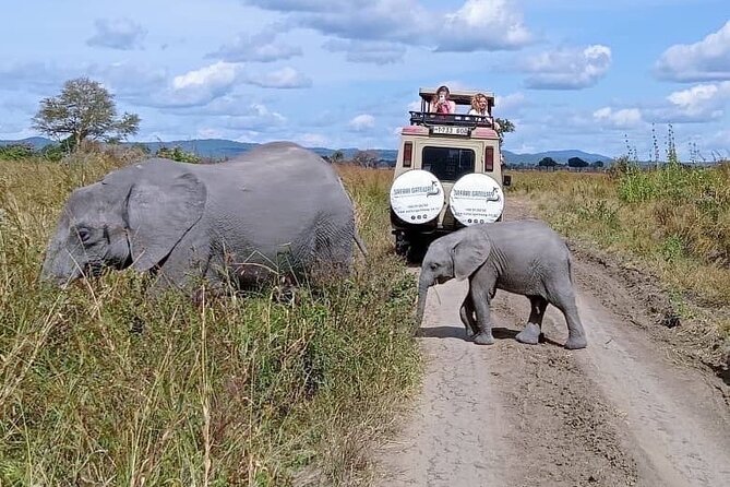 Mikumi Safari Tour: Day Trip Return Flight From Zanzibar - Key takeaways before you book