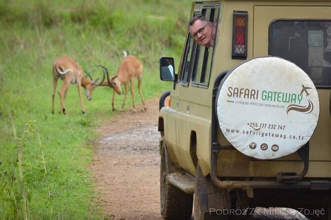 Mikumi Safari Tour: Day Trip Return Flight From Zanzibar - Price and value: is $600 fair for a one-day safari?