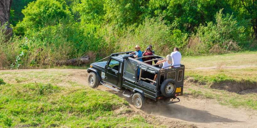 Minneriya: Minneriya National Park Private Safari - The elephant-welfare factor you can actually feel