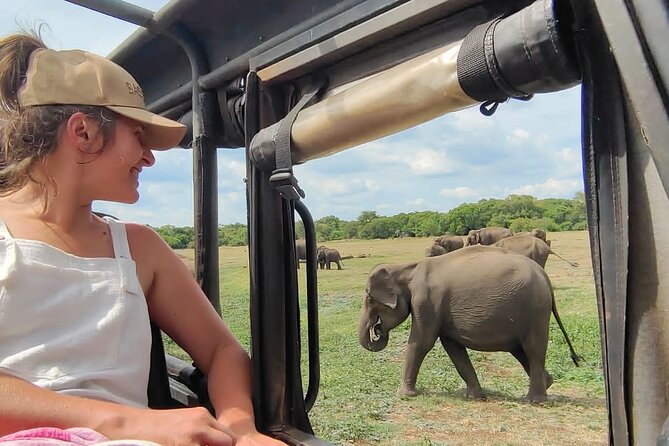 Minneriya National Park Elephant Jeep Safari Private Tour - Key points before you go