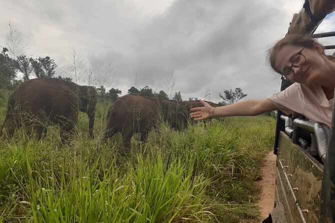 Minneriya National Park Elephant Jeep Safari Private Tour - The private Jeep format: what 3 to 5 hours gets you