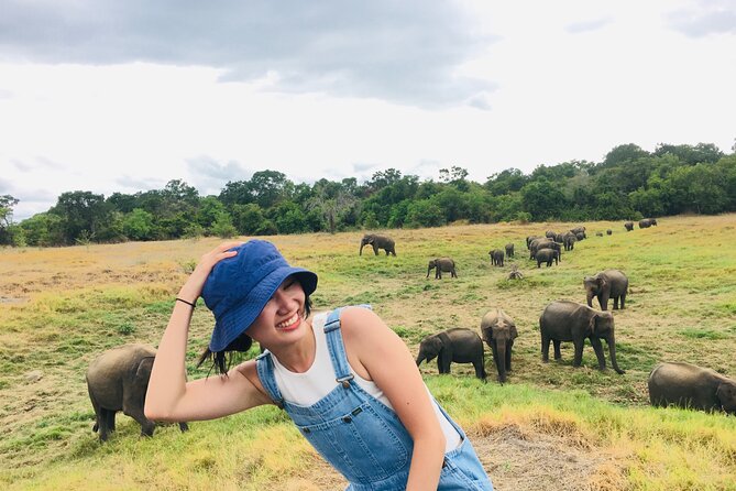 Minneriya National Park halfday Safari - Vehicle comfort and care: small differences that change everything