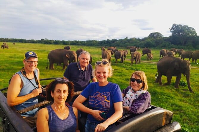 Minneriya National Park Safari [private , full package] - Key highlights you can plan around