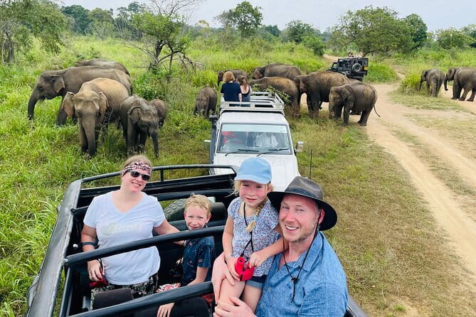 Minneriya National Park Safari - Private Jeep with Hotel Pickup - Key Highlights You Should Know