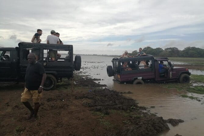Minneriya National Park Safari - Private Jeep with Hotel Pickup - Is This Safari for You?