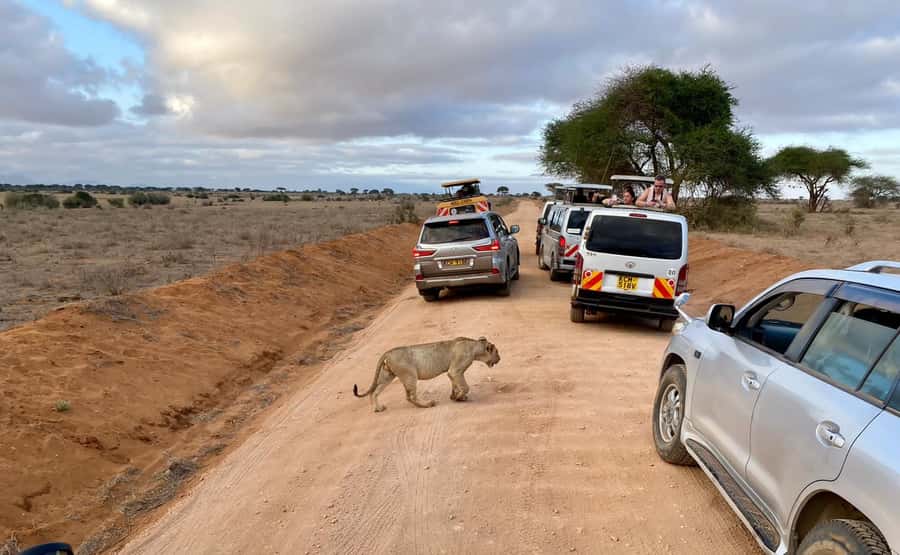 Mombasa: Tsavo East Ngutuni Sanctuary Overnight Safari - Key things to know before you go