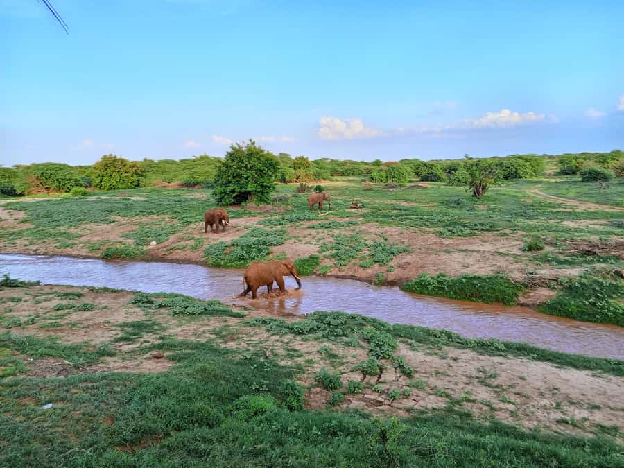 Mombasa: Tsavo East Ngutuni Sanctuary Overnight Safari - The drive in: settling into savanna mode