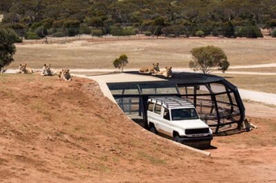 Monarto Safari Park: General Admission Tickets - Walking 15km or Taking the Zu-loop: How to Get the Best Animal Views