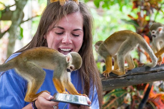 Monkeyland and Plantation Safari from La Romana - Monkeyland at Target Tours: What You’re Really Paying For