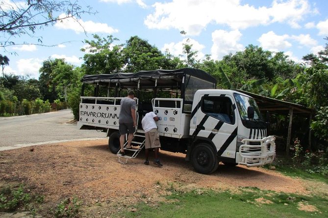 Monkeyland and Plantation Safari from La Romana - The Dominican “Plantation Safari” Stop: Coffee, Cocoa, and Real Life