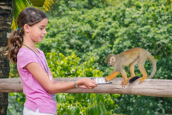 Monkeyland and Plantation Safari from La Romana - Open-Air Safari Truck Transport: The Scenic Part (Plus the Bumps)