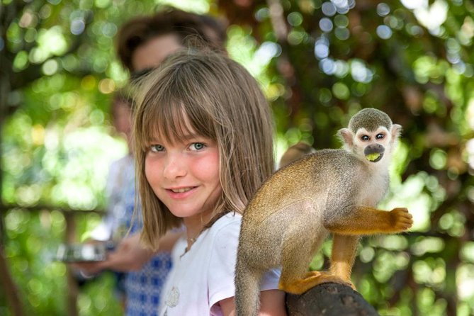 Monkeyland and Plantation Safari from La Romana - Price and Value: Is $95 a Good Deal?