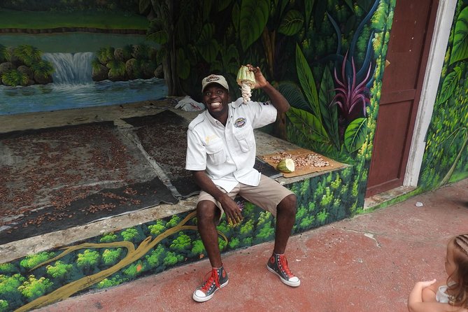 Monkeyland and Plantation Safari from La Romana - Best Fit: Who Should Book This Tour