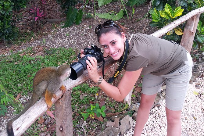 Monkeyland and Plantation Safari from La Romana - The Squirrel Monkey Rules That Make the Experience Work