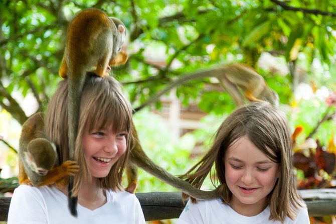 Monkeyland and Plantation Safari Tour from Punta Cana - Price and value: is $80 a fair deal for what you get?