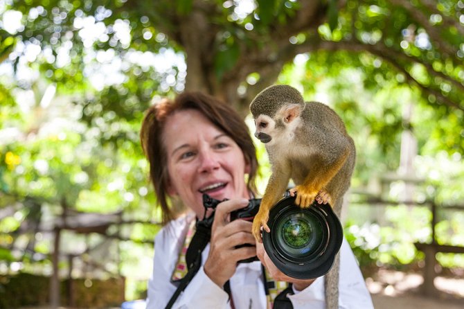 Monkeyland and Plantation Safari Tour from Punta Cana - Who this tour is best for (and who should think twice)
