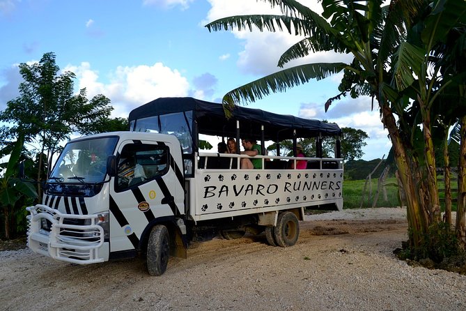 Monkeyland and Plantation Safari Tour from Punta Cana - Should you book Monkeyland and Plantation Safari from Punta Cana?