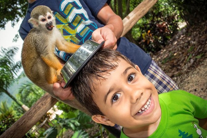 Monkeyland and Plantation Safari Tour from Punta Cana - Monkeyland squirrel monkey sanctuary: feeding, handling, and the photo factor