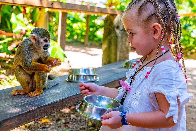 Monkeyland & Plantation Safari Full Day from Juan Dolio - Key things to know before you go