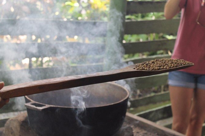 Monkeyland & Plantation Safari Full Day from Juan Dolio - Lunch and cocoa/coffee moments: what’s included and what to plan for