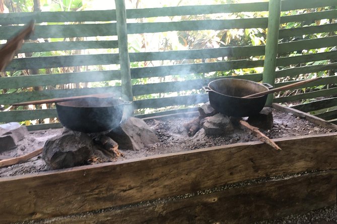 Monkeyland & Plantation Safari Full Day from Juan Dolio - Price, group size, and what $95 really buys