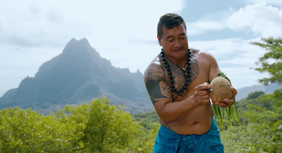 Moorea: Half-Day Open-Air 4WD Safari with Hotel Transfers - Open-Air 4WD Comfort: Your Best Friends Are Camera and Shoes
