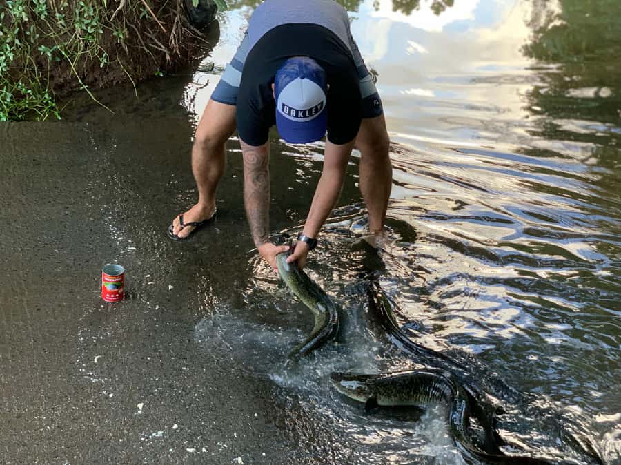 Moorea: Half-Day Open-Air 4WD Safari with Hotel Transfers - Marae Temples and Polynesian Culture: How the Tour Slows Down