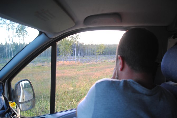 Moose safari in the wild Sweden Tiveden - Why moose spotting in Tiveden feels easier with a guide