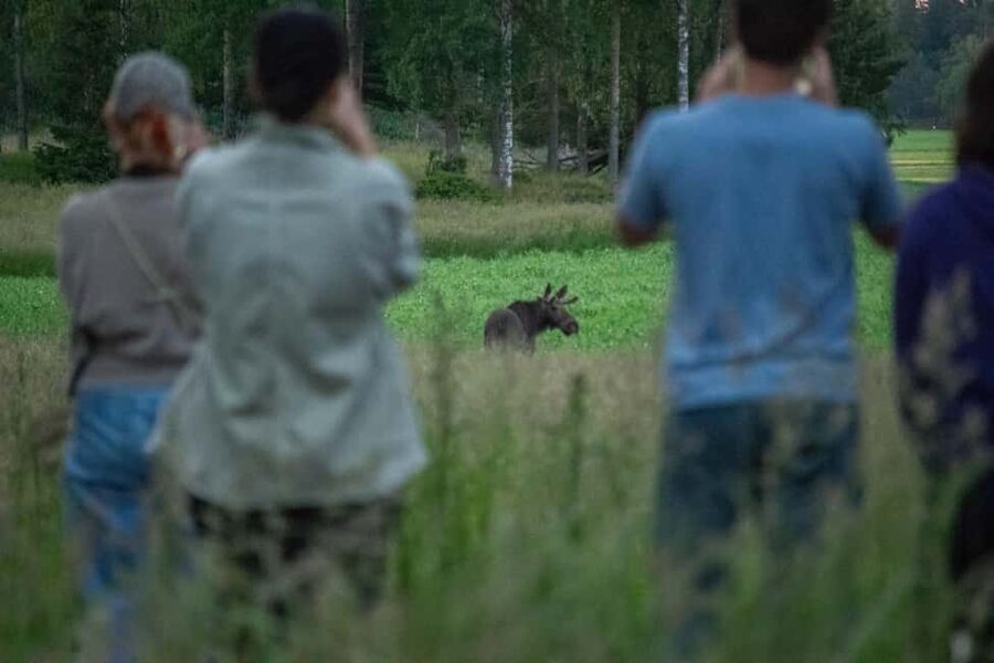 Moose safari with campfire dinner from Helsinki - From Helsinki Pickup to Porkkala: The Van Ride That Sets the Mood