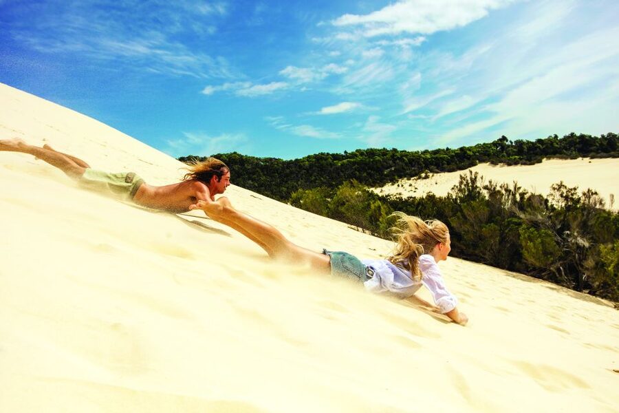Moreton Island: Desert Safari Tour & Dolphin Viewing - Sand Tobogganing Up to 40km/h: Optional Thrills With Real Control