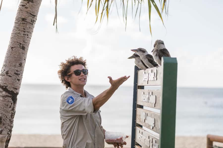 Moreton Island: Desert Safari Tour & Dolphin Viewing - Value for Money: Why This Price Can Make Sense for One Full Island Day