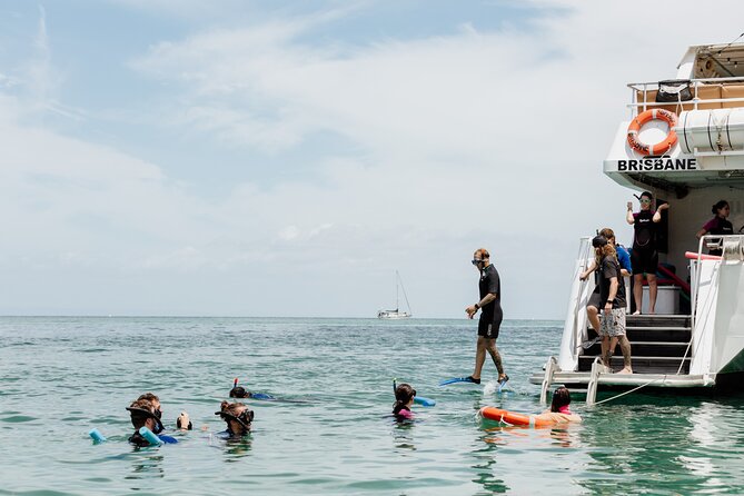Moreton Island Eco Marine Safari Cruise and Snorkel - Key highlights to know before you go