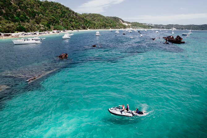 Moreton Island Eco Marine Safari Cruise and Snorkel - Tangalooma Wrecks snorkeling: the main event and the main requirement