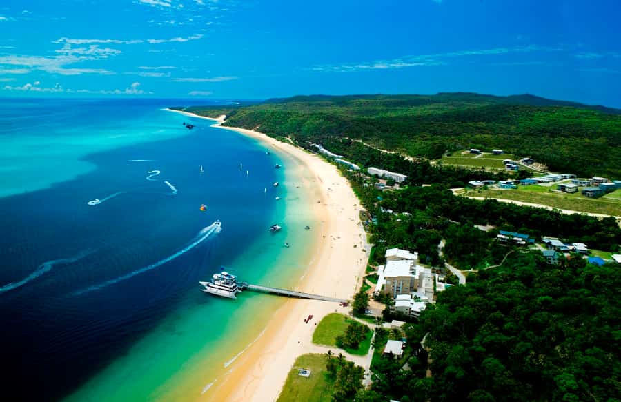 Moreton Island: Tangalooma Desert Safari and Dolphin Feeding - Who Should Book This Moreton Island Day Trip?