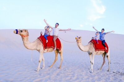 Morning Desert Safari From Abu Dhabi - The dune bash: the main event, with real value for first-timers