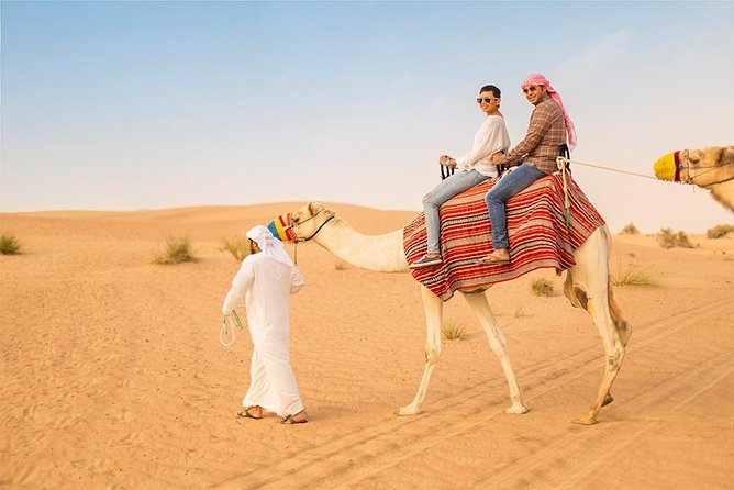 Morning Desert Safari in 4x4 Shared Vehicle - Who Should Book This Safari (and Who Might Want Another Style)