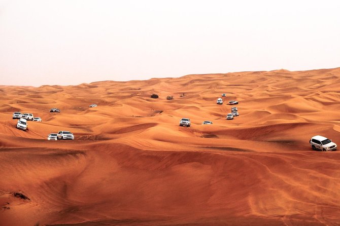 Morning Desert Safari With 20-Minutes Camel Ride - Sandboarding and photo stops: the “fun” part after the thrill