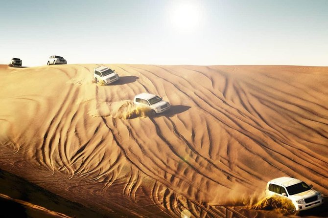Morning Desert Safari With 20-Minutes Camel Ride - Price and value for a 4-hour morning adventure