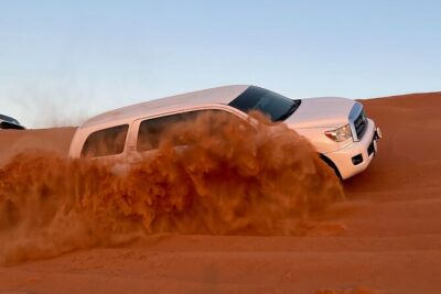 "Morning Desert Safari with Camel Farm visits & Arabic Treats" - Stop by Stop: How the Day Flows Across the Desert