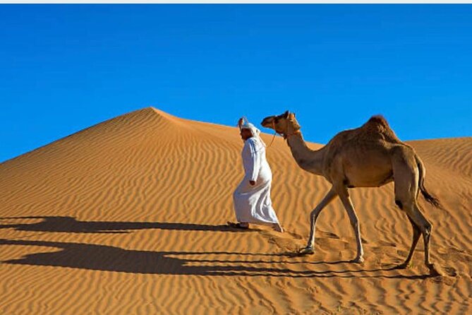 Morning Desert Safari with Camel Ride and Quad Bike - Dune Bashing at Lahbab: 35 Minutes of High-Grade Adrenaline