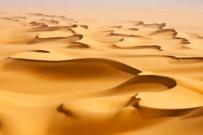 Morning Desert Safari with Camel Ride and Sandboarding - 35–40 Minutes of 4WD Dune Bashing in Air-Conditioned Comfort