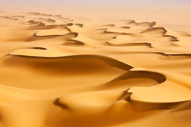 Morning Desert Safari with Camel Ride and Sandboarding - 35–40 Minutes of 4WD Dune Bashing in Air-Conditioned Comfort