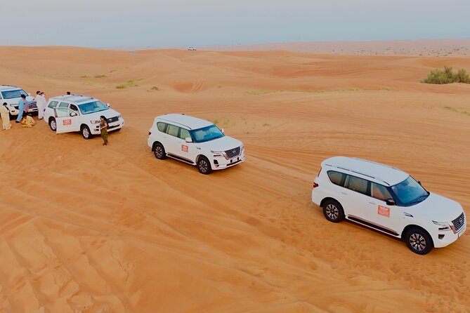 Morning Desert Safari with Dune Bashing & Camel Ride - Included comforts that make a short safari feel easy