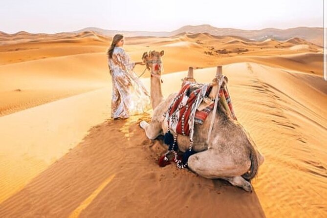 Morning Desert Safari With Quad Biking and Sandboarding - The adrenaline loop: dune bashing and quad biking